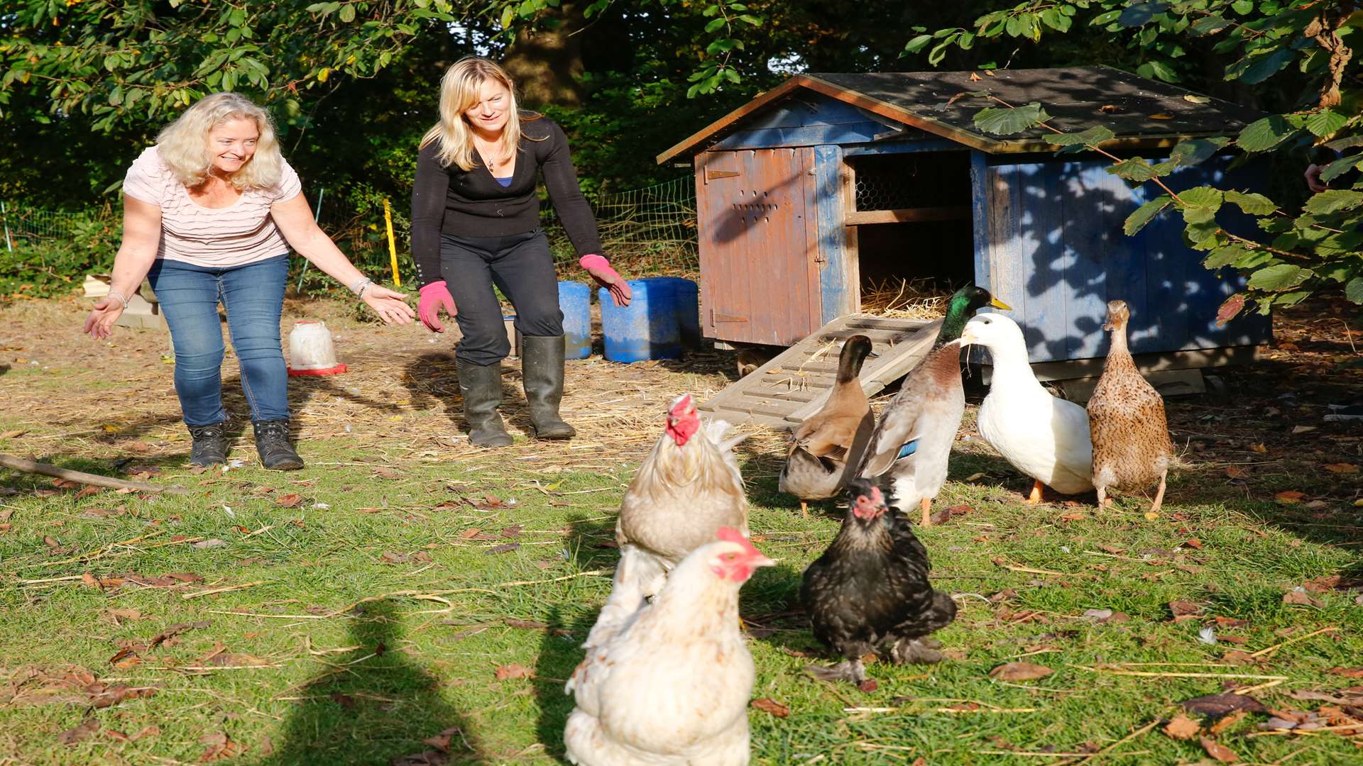 Lead therapist Carol Bridges, left, and garden volunteer coordinator Michelle Forster with the chickens and ducks. Picture: Matthew Walker