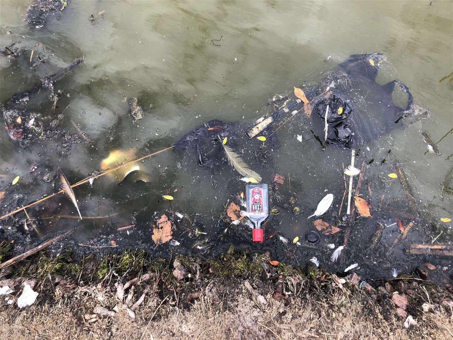 Litter in the lake