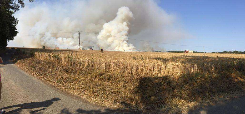 The corn fire seen from the Hawkinge area. Picture courtesy of Meg Philpott