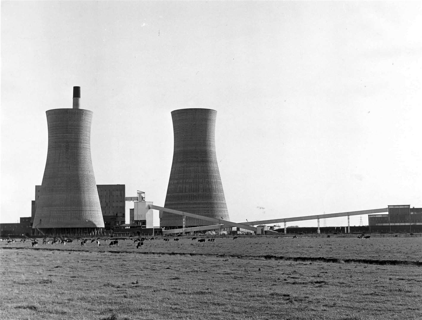 Animals grazing in front of the power station. Date unknown
