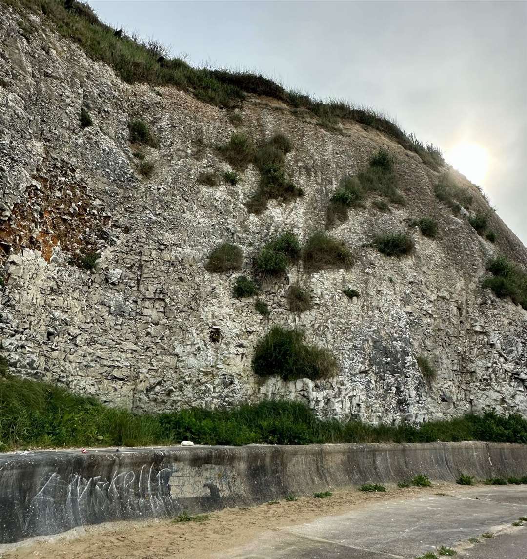 Miss Mitchell says following the incident, she would never take children younger than five to the park – which is directly opposite the cliff edge. Picture: Laura Mitchell