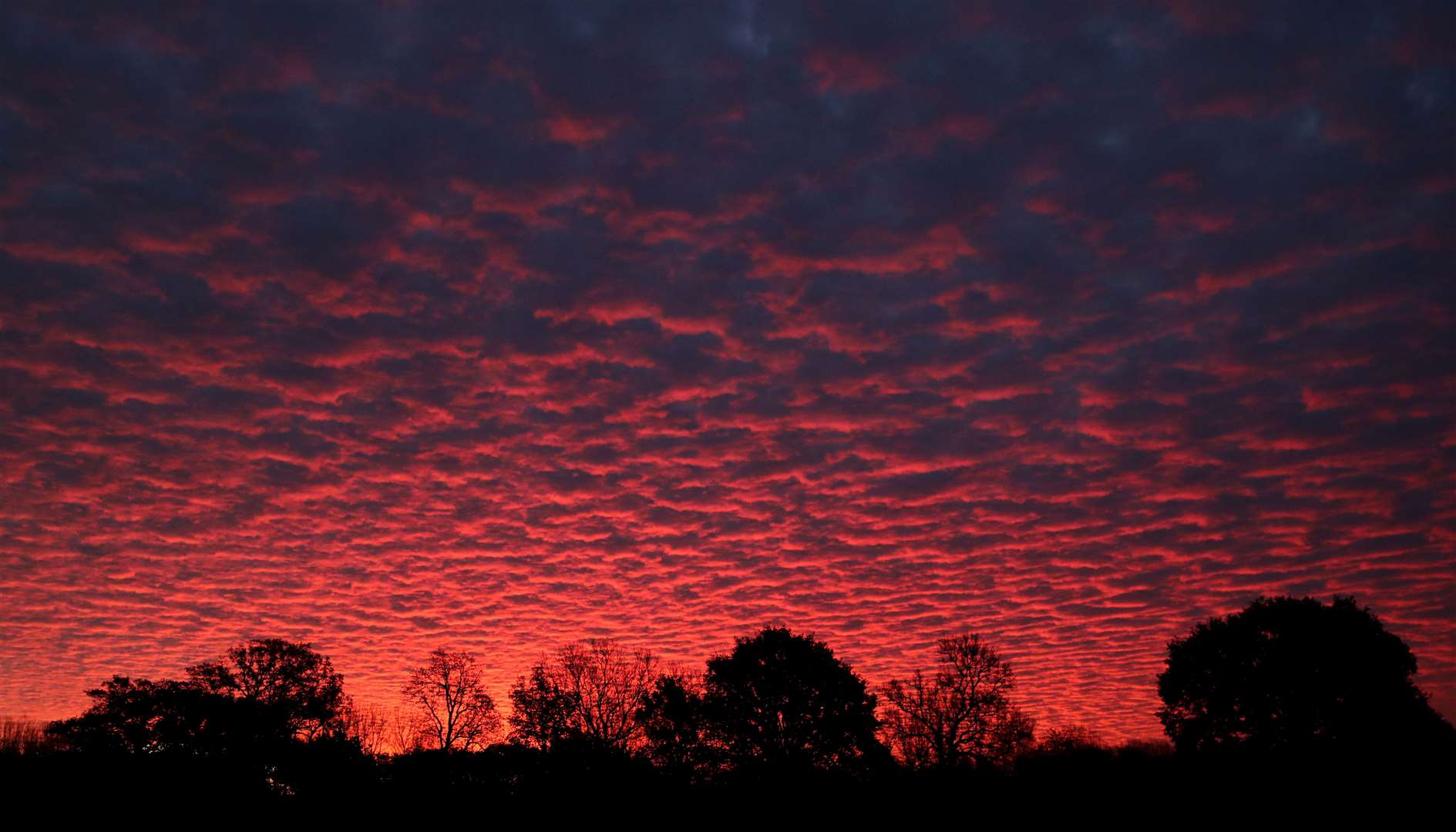 The sunrises over woodland in Ashford, Kent (Gareth Fuller/PA)