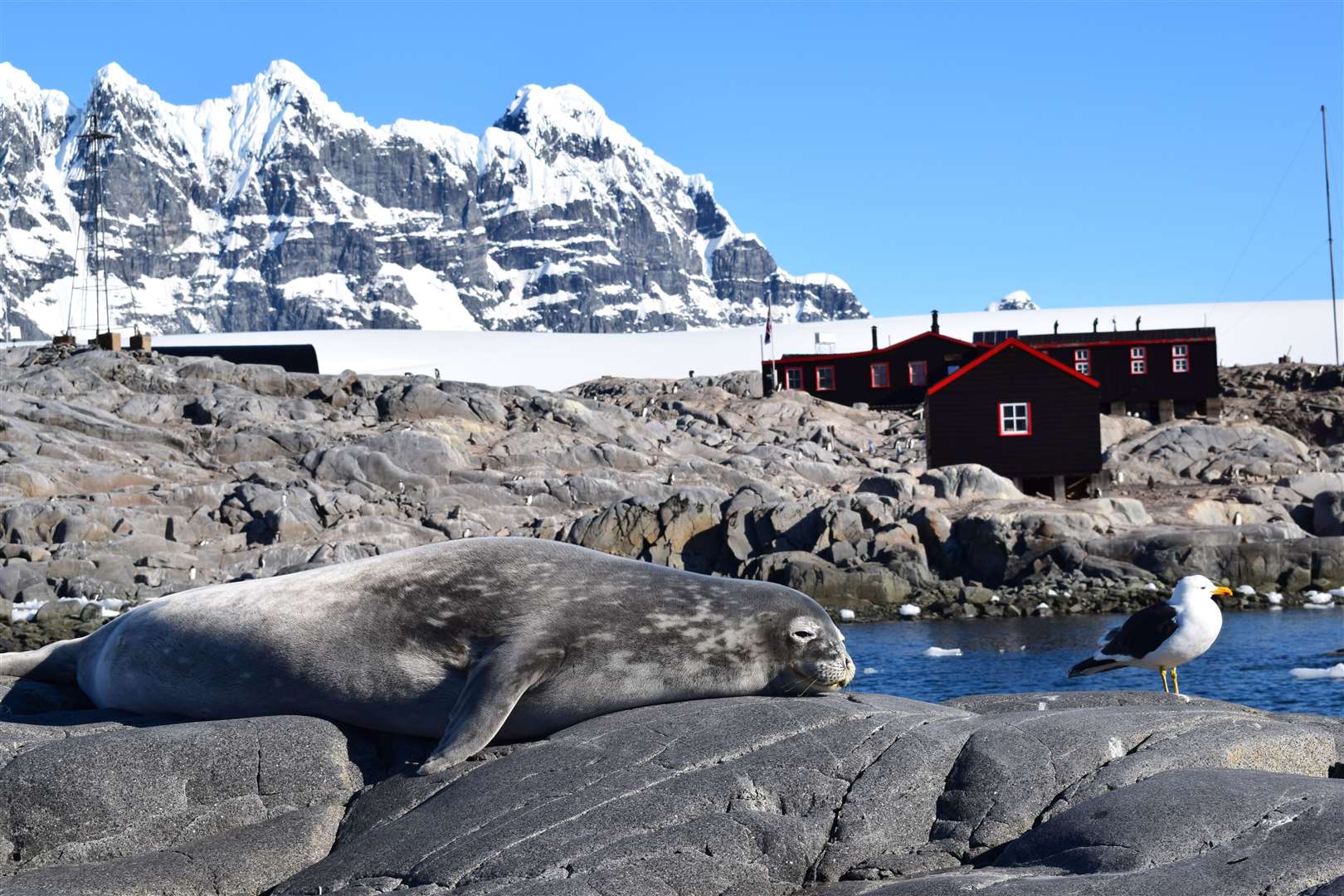 Port Lockroy, the first British wintering station on the Antarctic Peninsula (The UK Antarctic Heritage Trust)