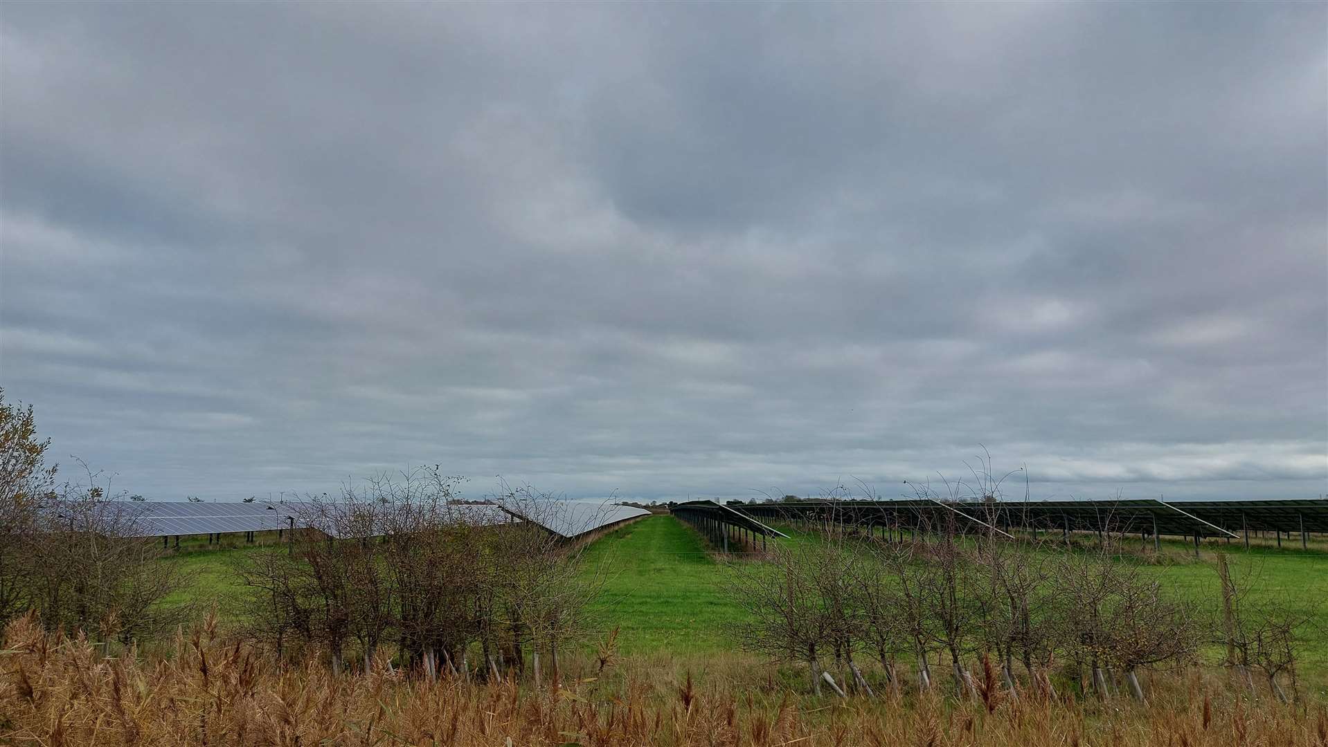 There is already a solar farm in Old Romney between Beggarsbush Lane and Millbank Lane