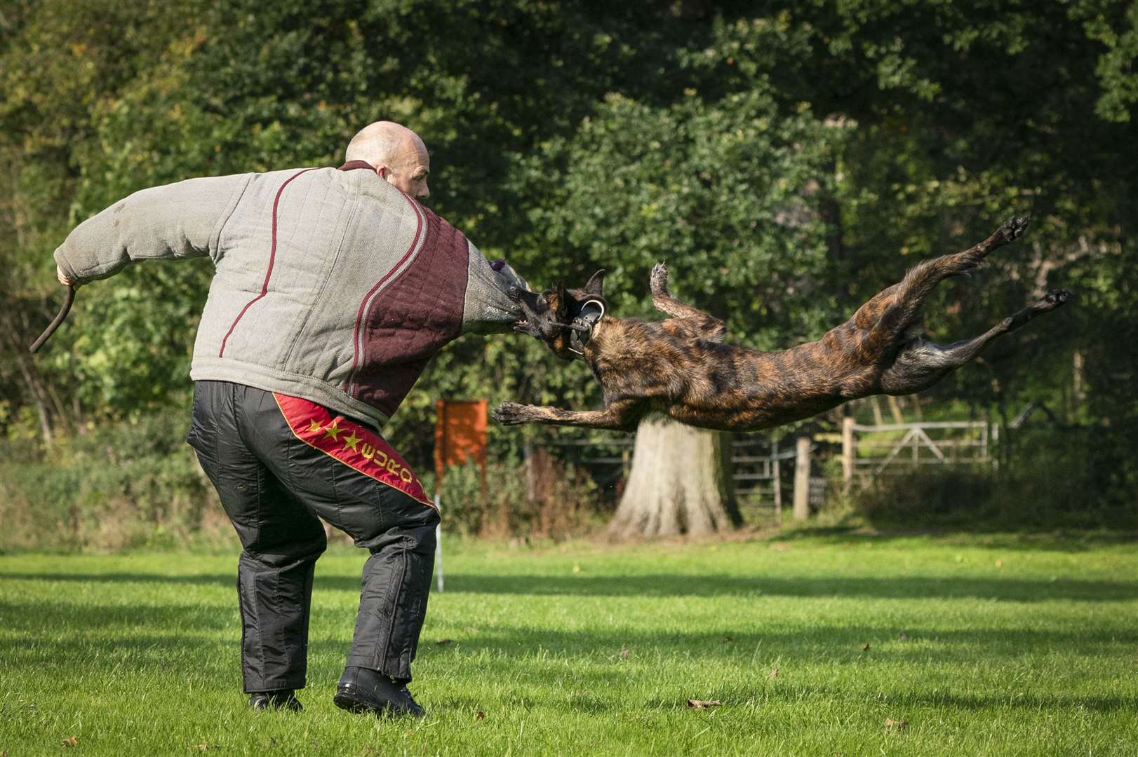 Pc Lee Judge with Atla the dog as Police Scotland’s dog unit train at the Police Scotland Dog Unit, Pollok Country Park (Jane Barlow/PA)