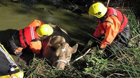 Picture courtesy CHRIS NELSON/ KENT FIRE AND RESCUE SERVICE