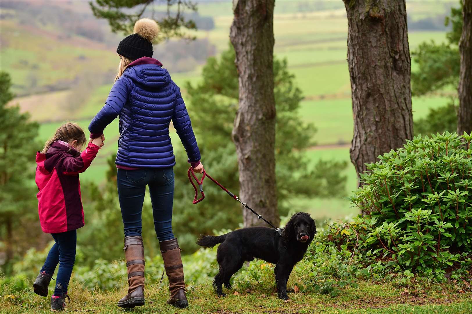 Picture: National Trust/John Millar