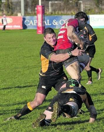 Canterbury showed plenty of spirit against Rosslyn Park