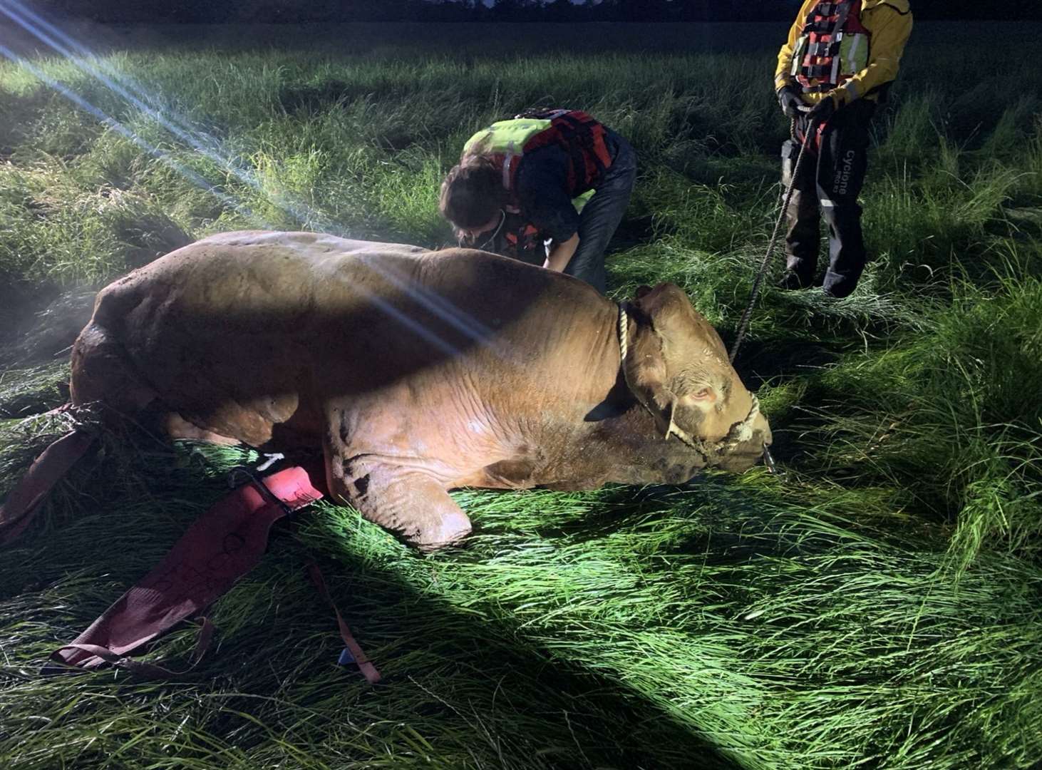 Crews worked into the night to help save the bull. Picture: Kent Fire and Rescue Service/X