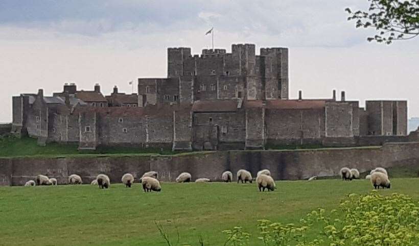 Dover Castle will be lit blue from tonight at 8pm