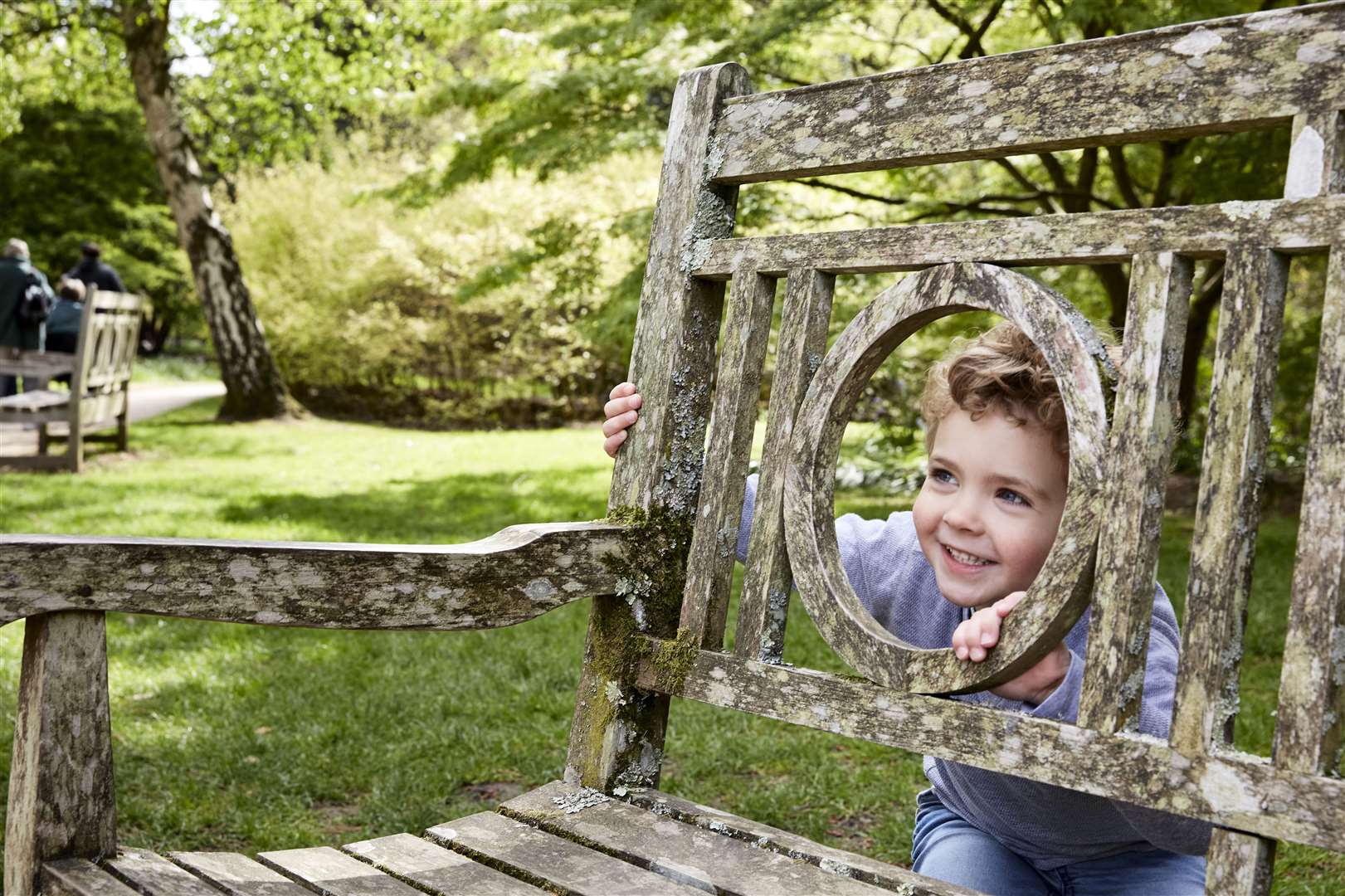 Take a look at what the National Trust has on offer this summer Picture: Arnhel de Serra/National Trust