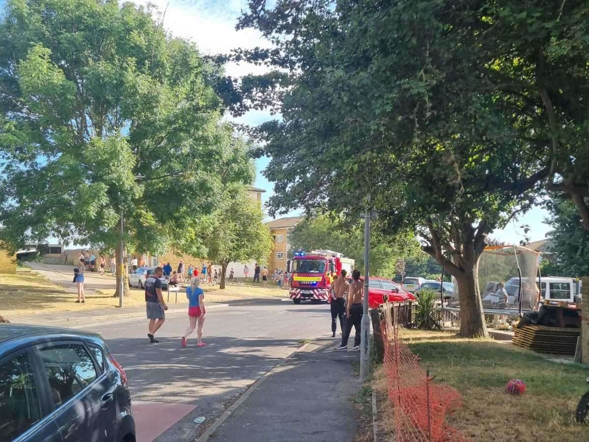 Fire crews rescued two dogs after a Margate shed fire spread to a number of properties