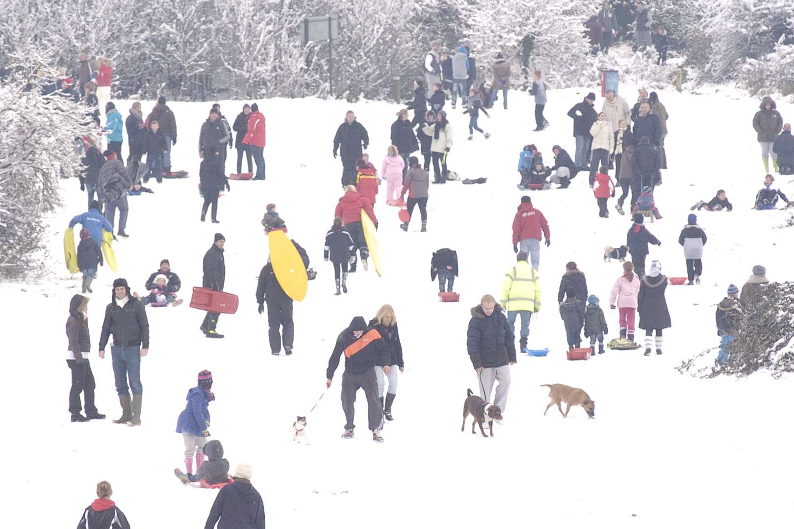 Snow Scenes at the Glen, Minster