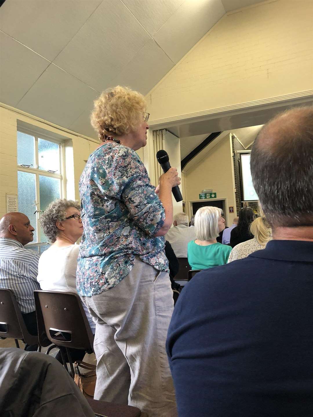 Campaigner Hazel Browne speaking out at the public meeting (3659487)