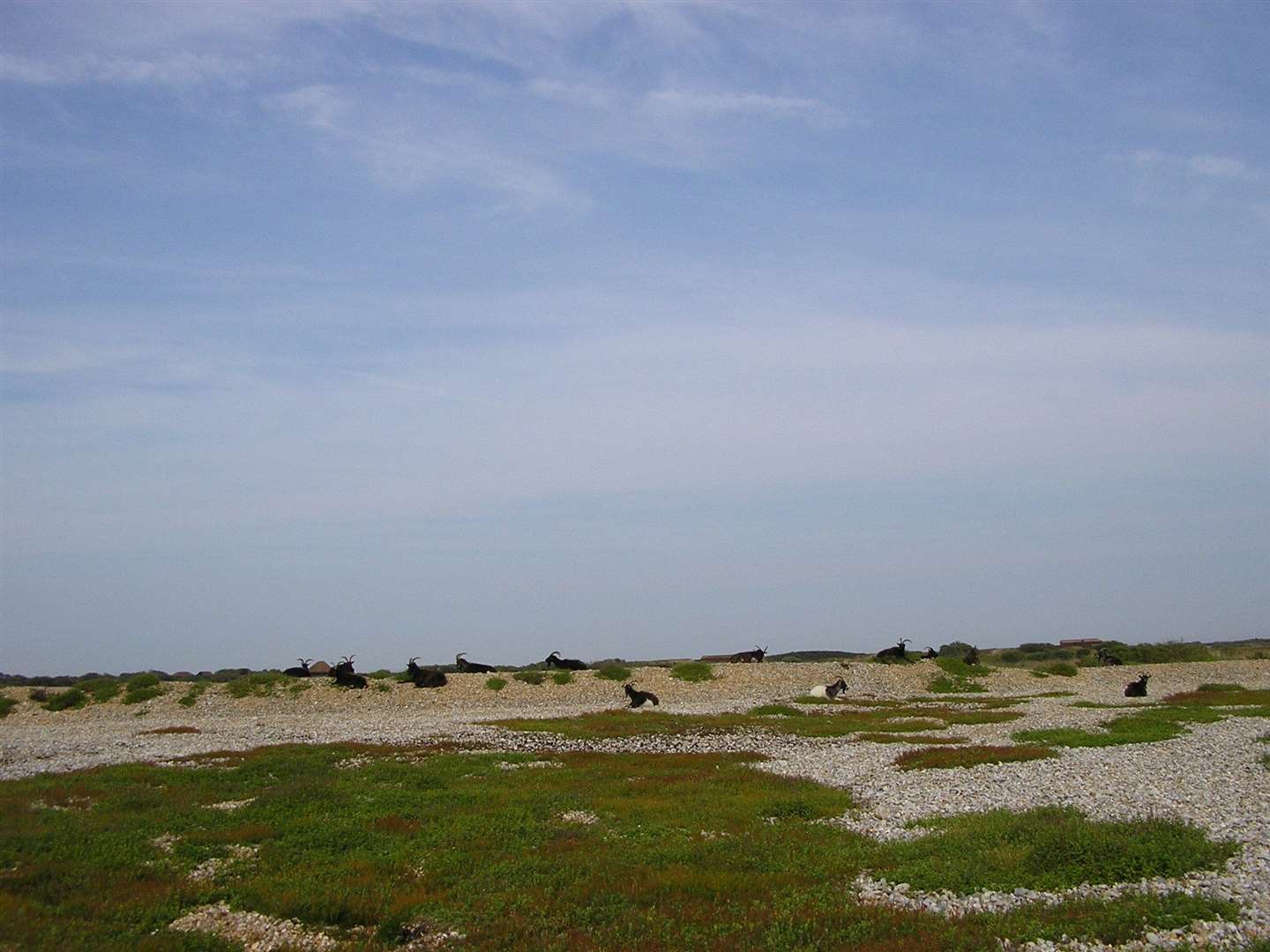 A view across Romney Marsh. Picture: Margaret Read