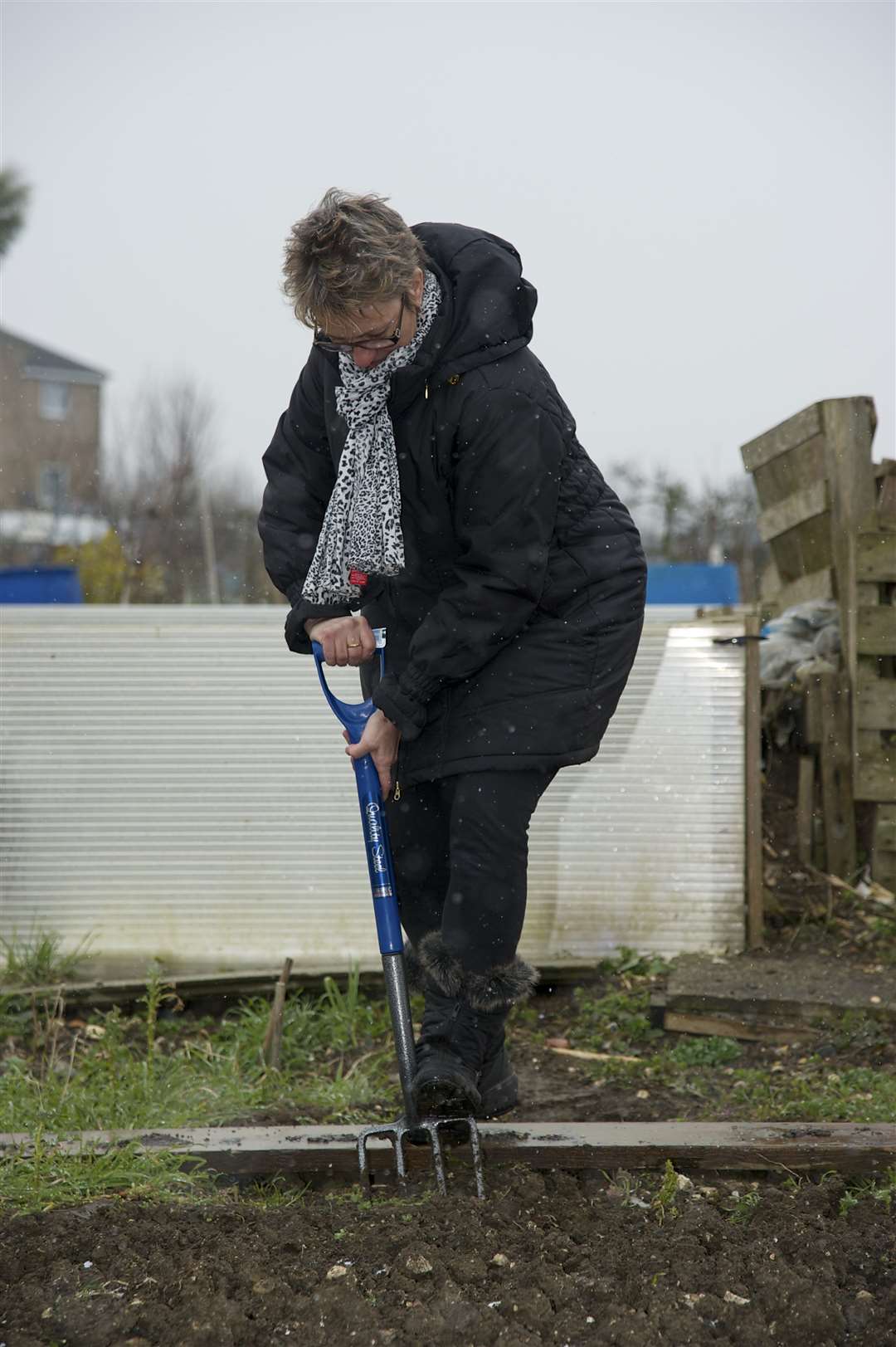 A gardener hard at work on the allotments in Gillingham