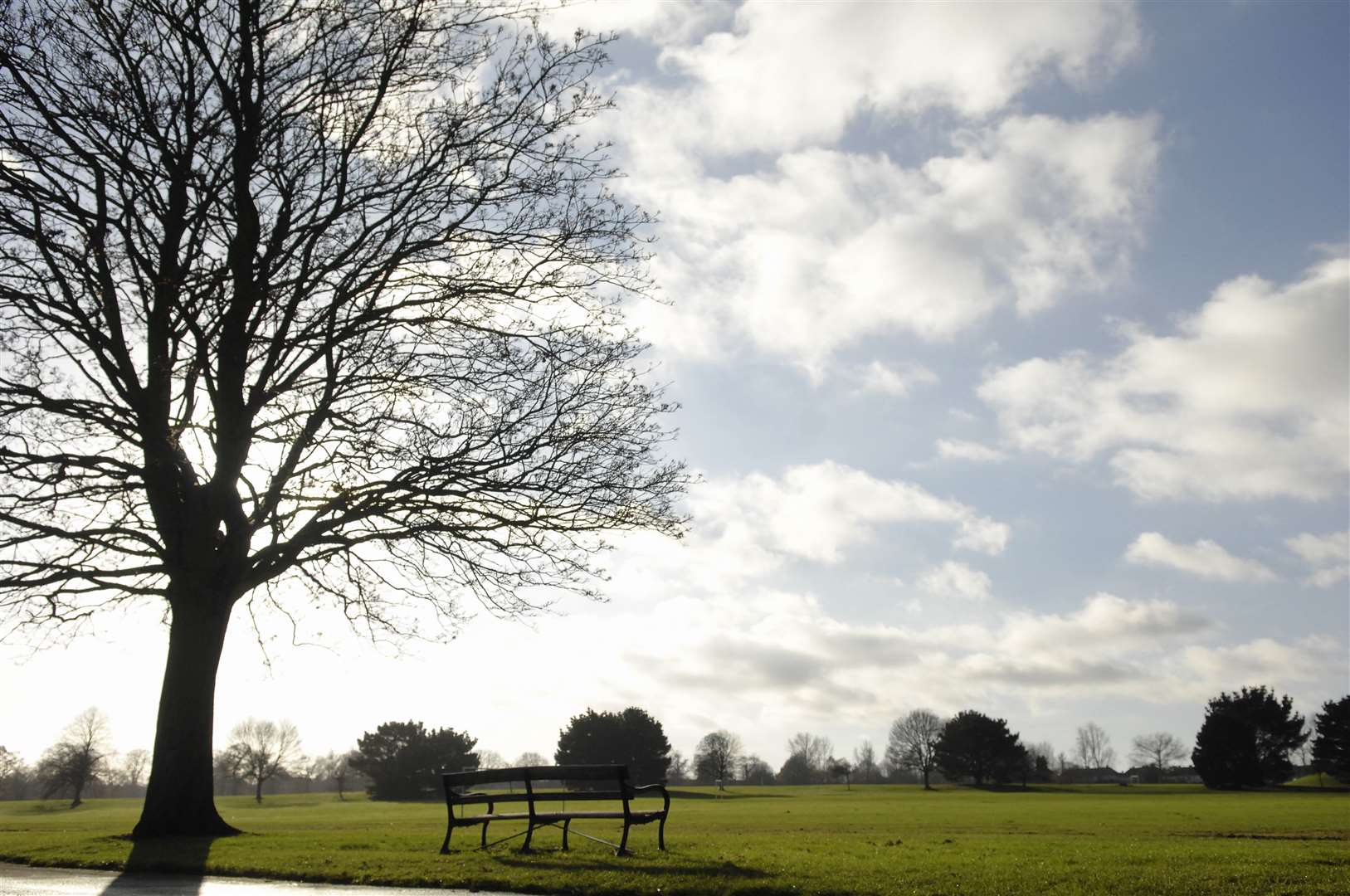 Mote Park in Maidstone hosts many festivals