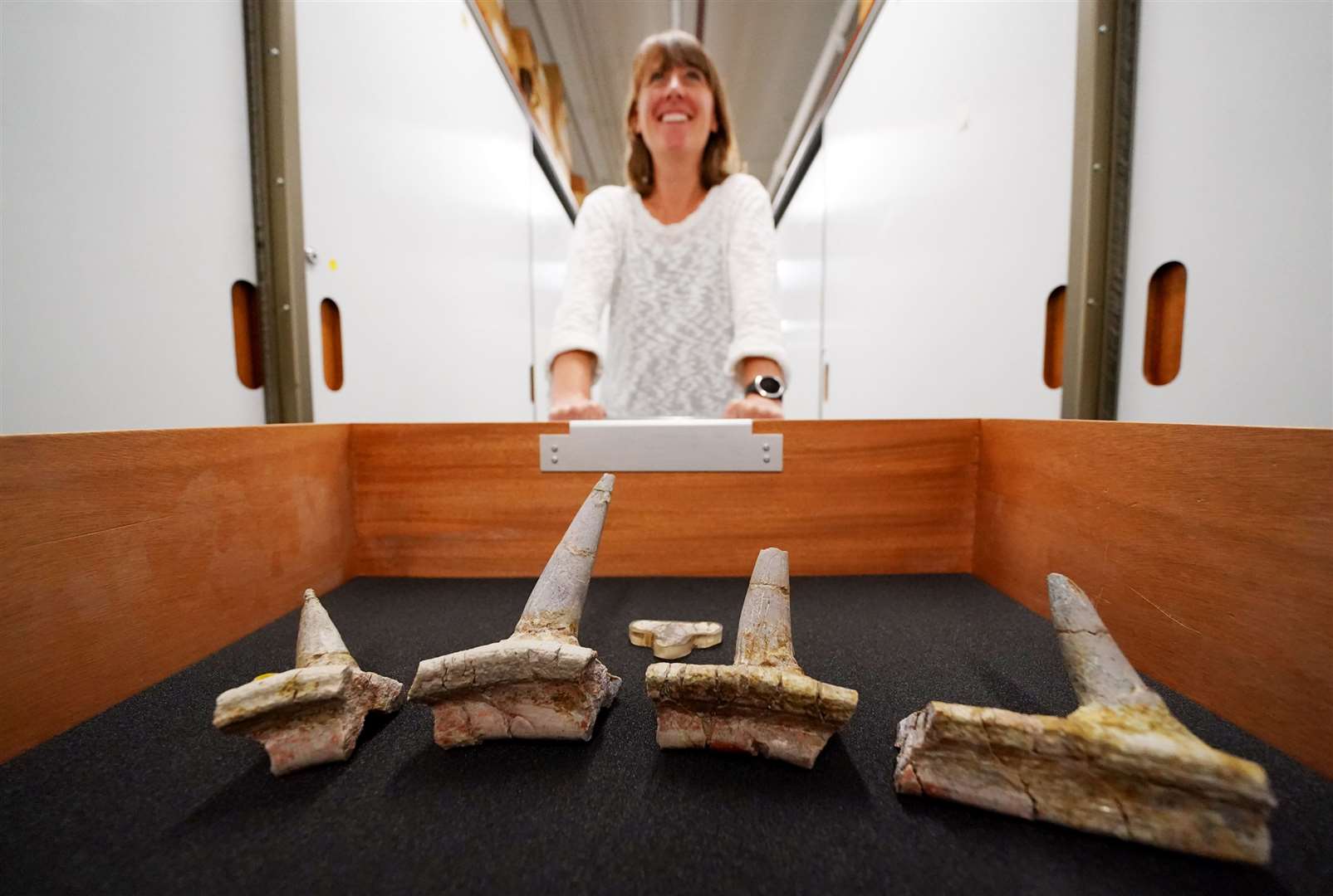 Dr Susannah Maidment at the Natural History Museum (Natural History Museum/PA)