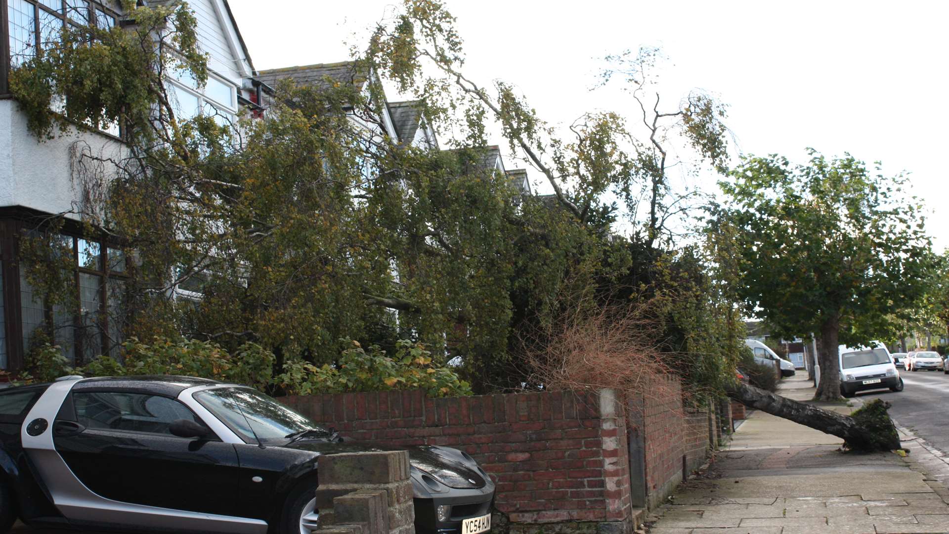 Tree down in Northridge Road, Gravesend