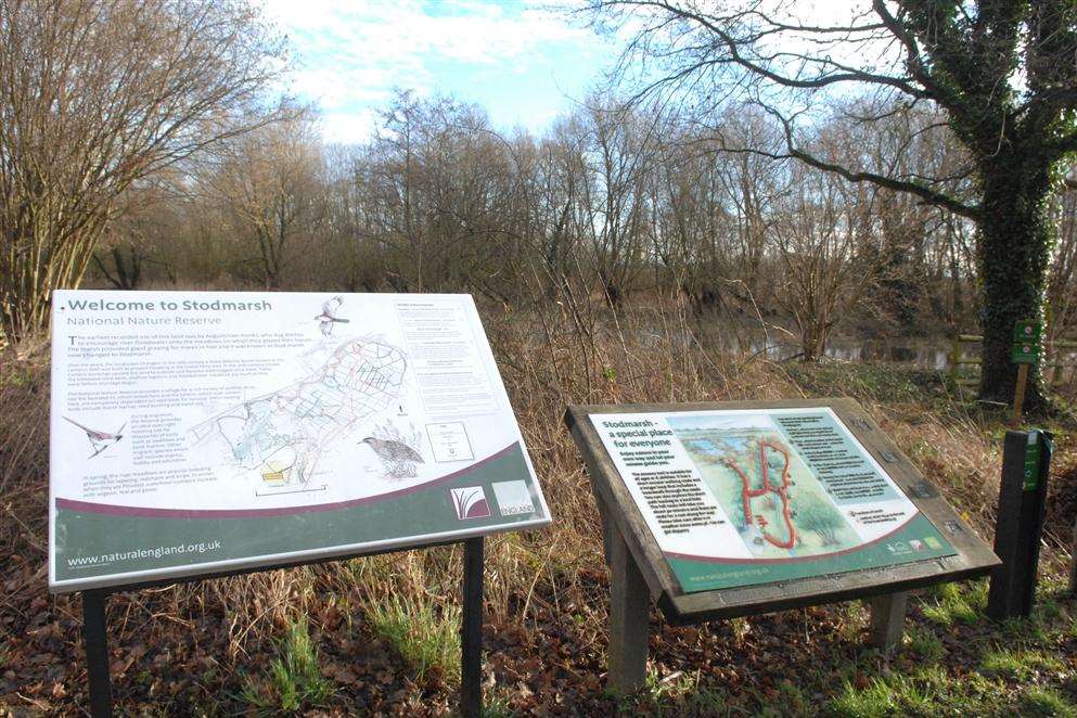 Stodmarsh Nature Reserve near Canterbury.