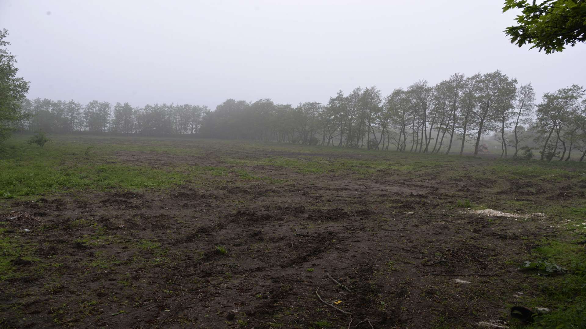 The orchard was ripped out earlier this year.