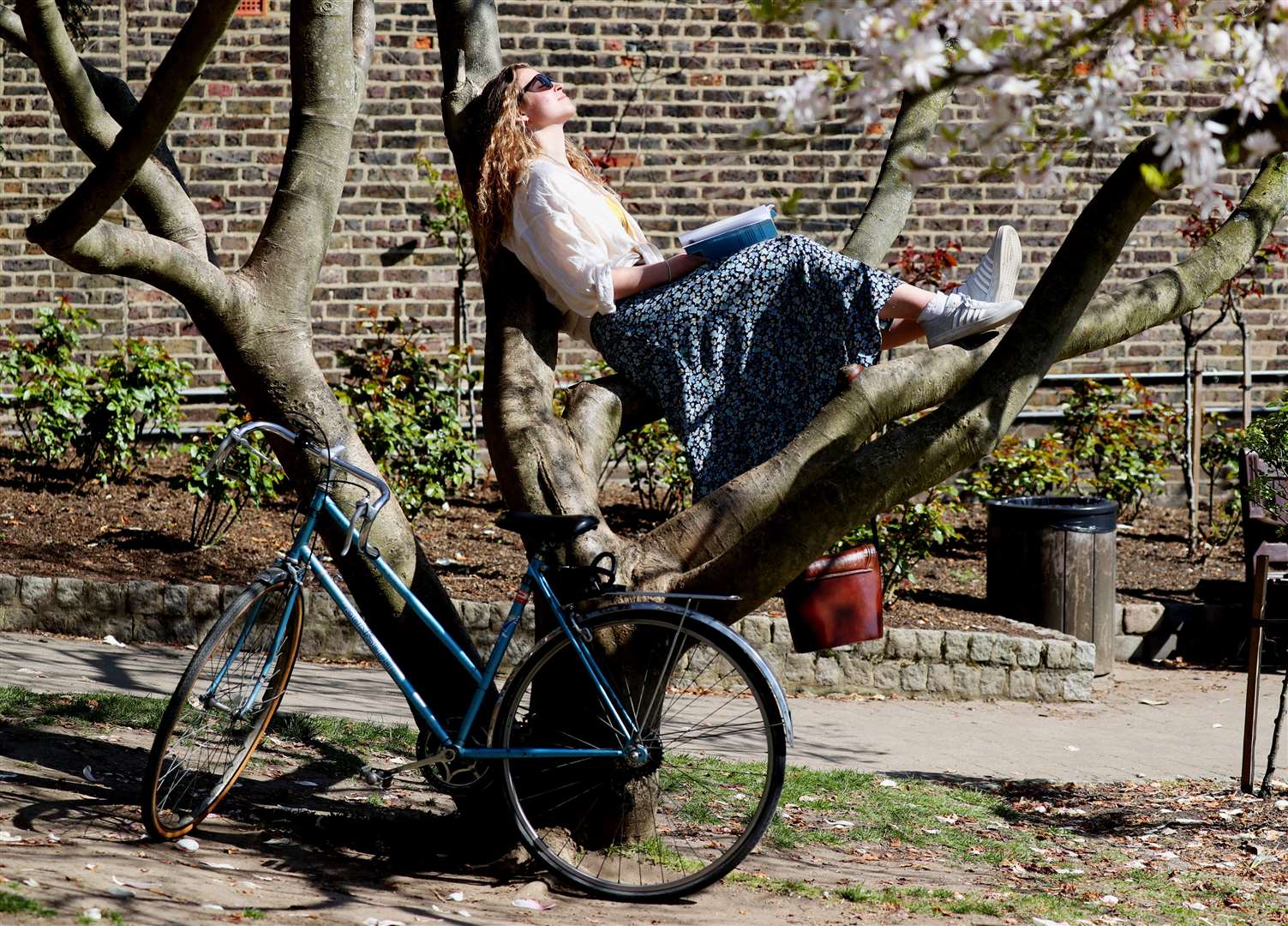 21-year-old Amalia Maiden relaxes in a tree in Holland Park (Jonathan Brady/PA)