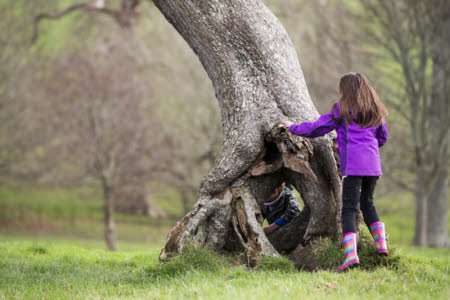 Picture: National Trust