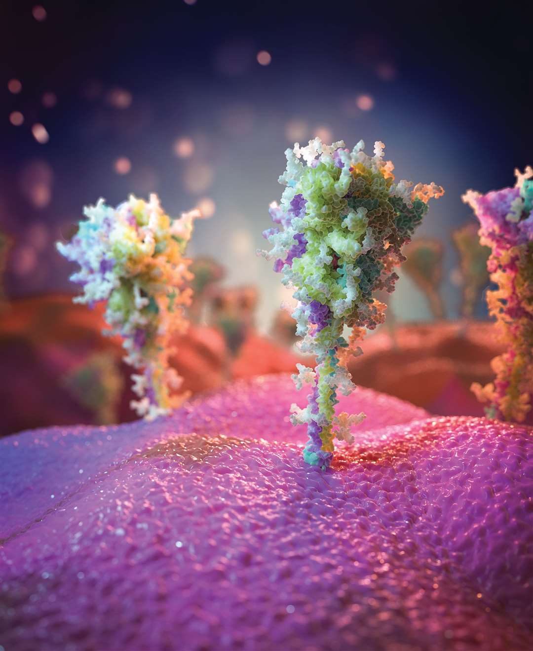 The images show that the spikes are ‘highly similar’ to those of the virus (University of Southampton/PA)