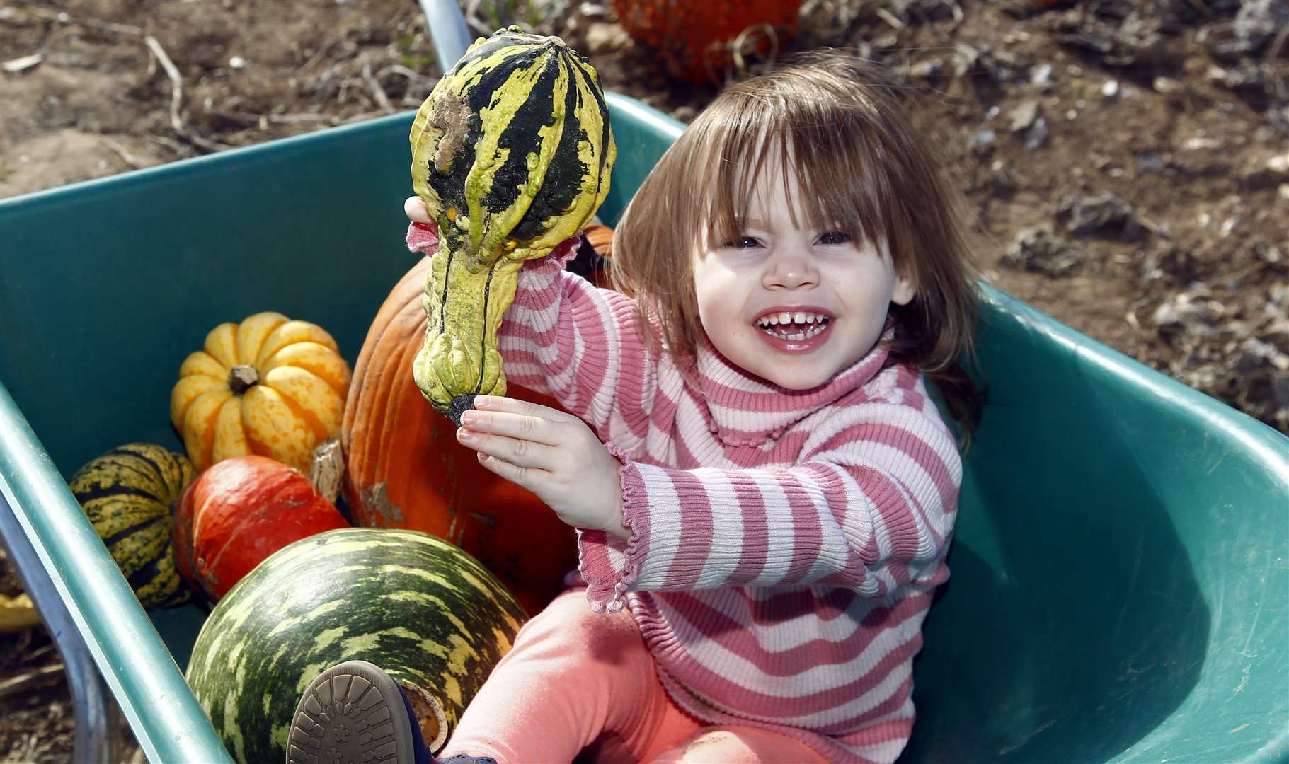 Pumpkin Moon, Sandling, Maidstone - Scarlett Hempson picks one Picture: Sean Aidan