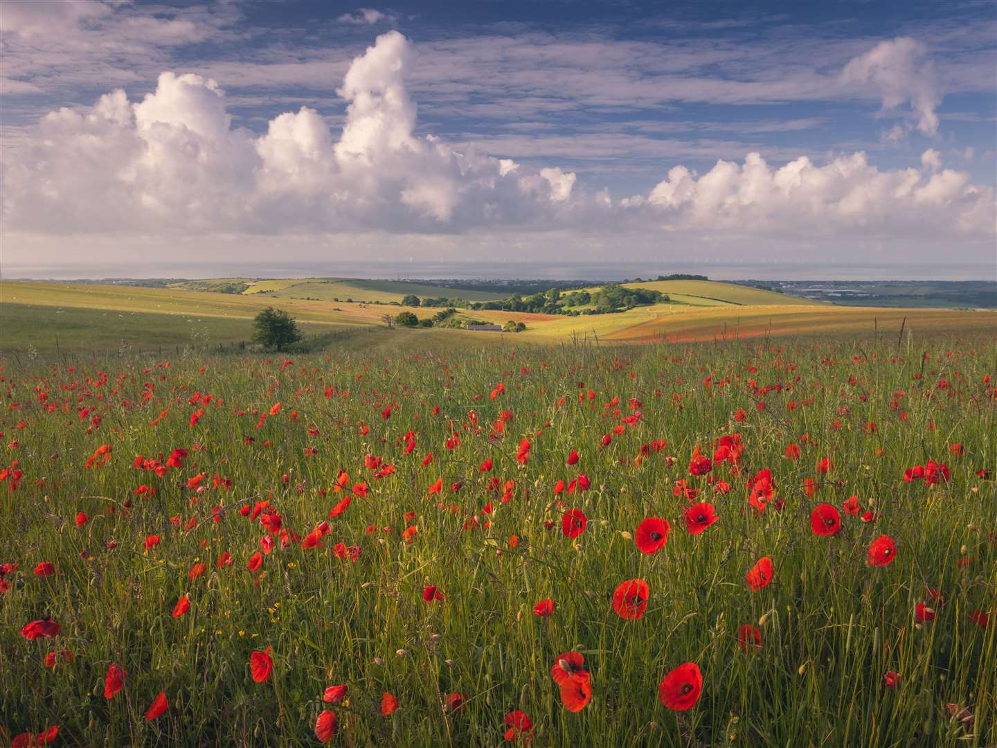 Poppies & Puffy Clouds (Ian Brierley/South Downs National Park/PA)