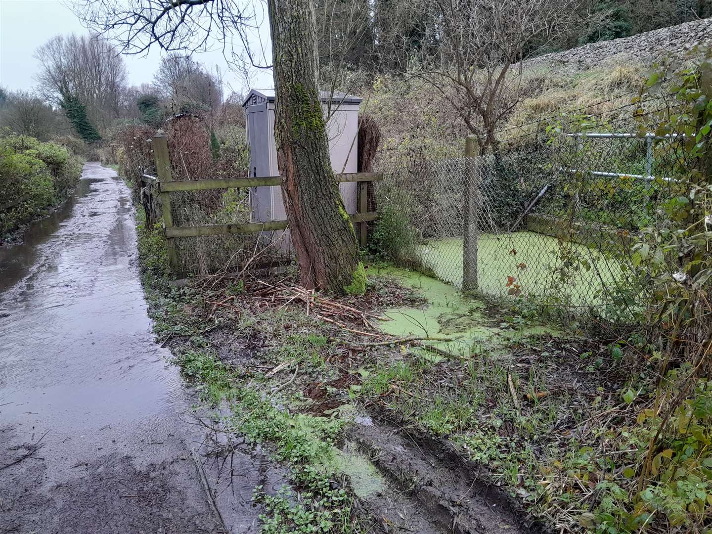 The flooding is permanent - not just when it rains