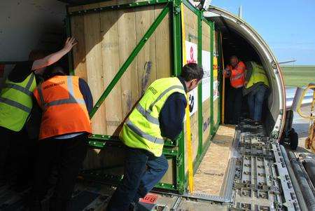 Loading three black rhinos from Port Lympne onto a plane for Tanzania at Manston Airport.