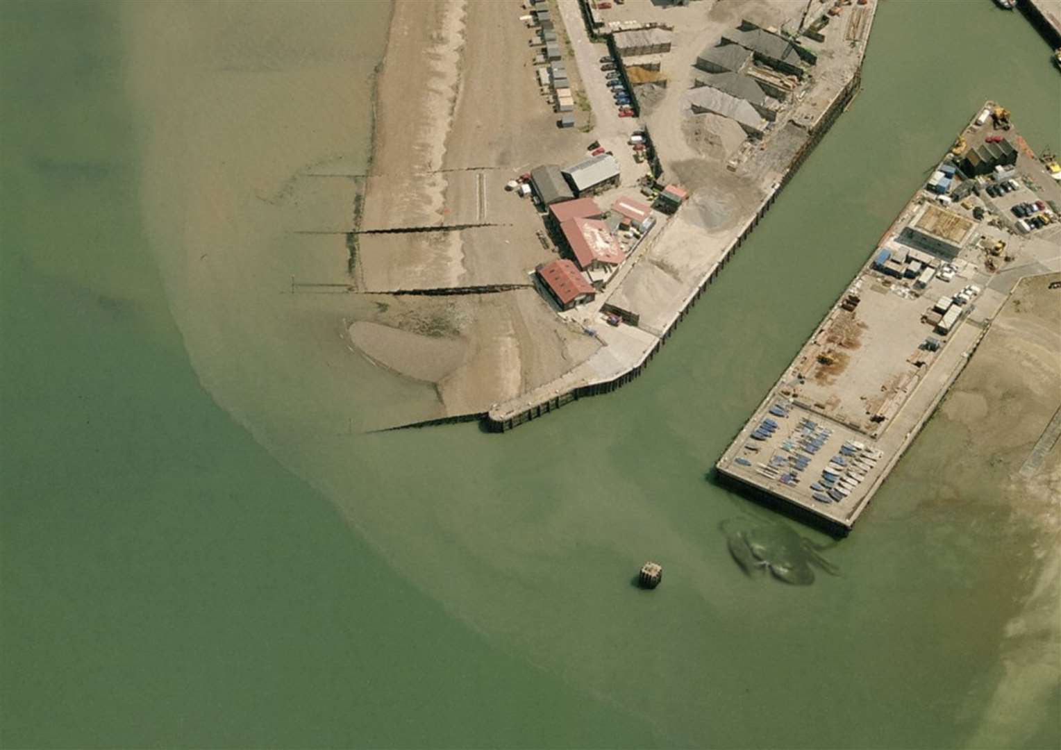 Crabzilla lurking beneath the murky water. Picture: Quinton Winter/Weird Whitstable