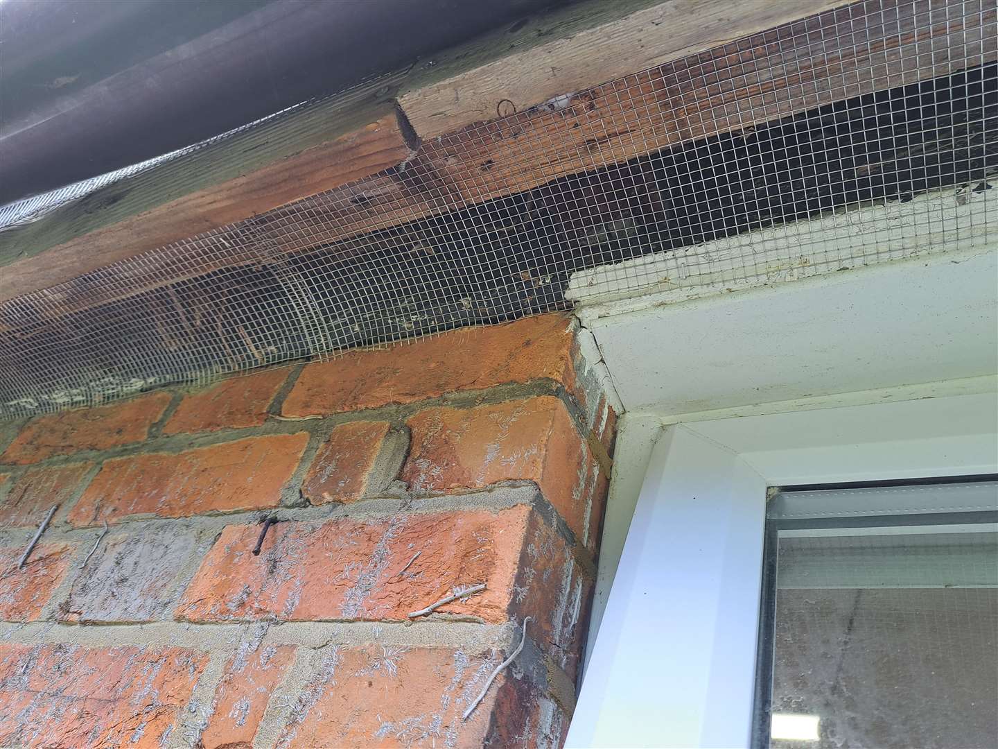 Anti-rodent mesh has been installed