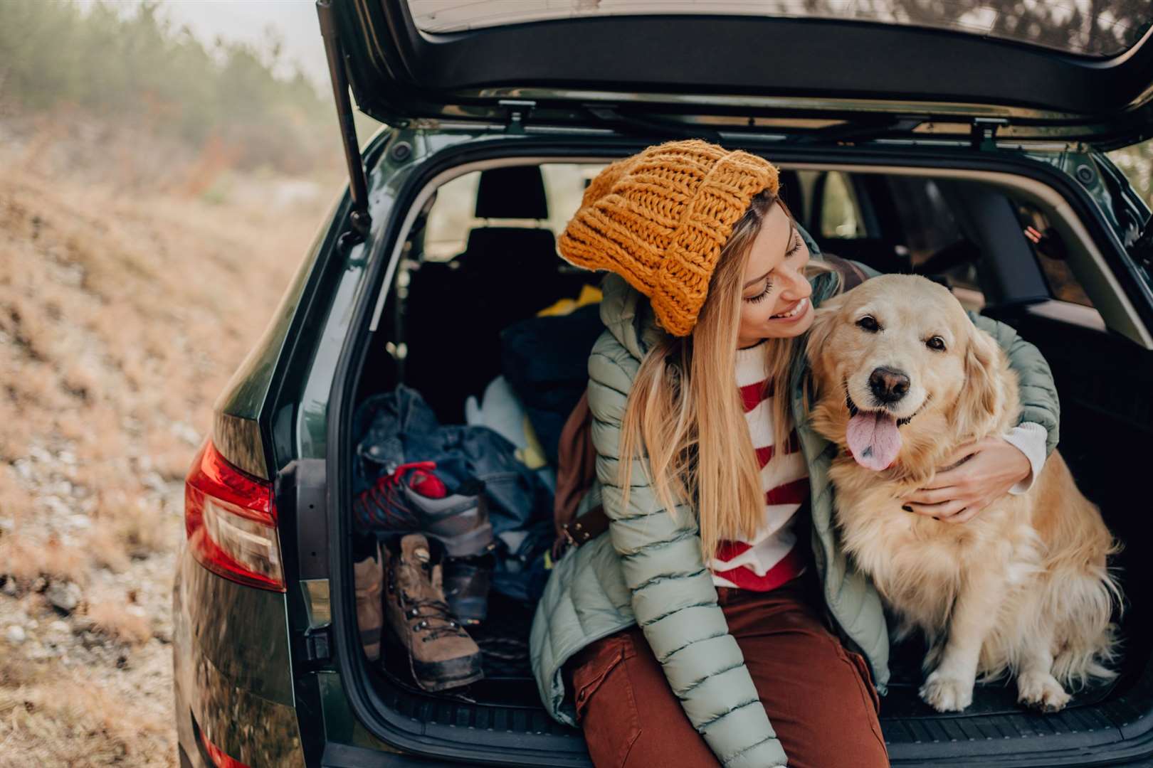 With more new pet owners than ever likely to take to the roads this summer drivers are being advised to be prepared