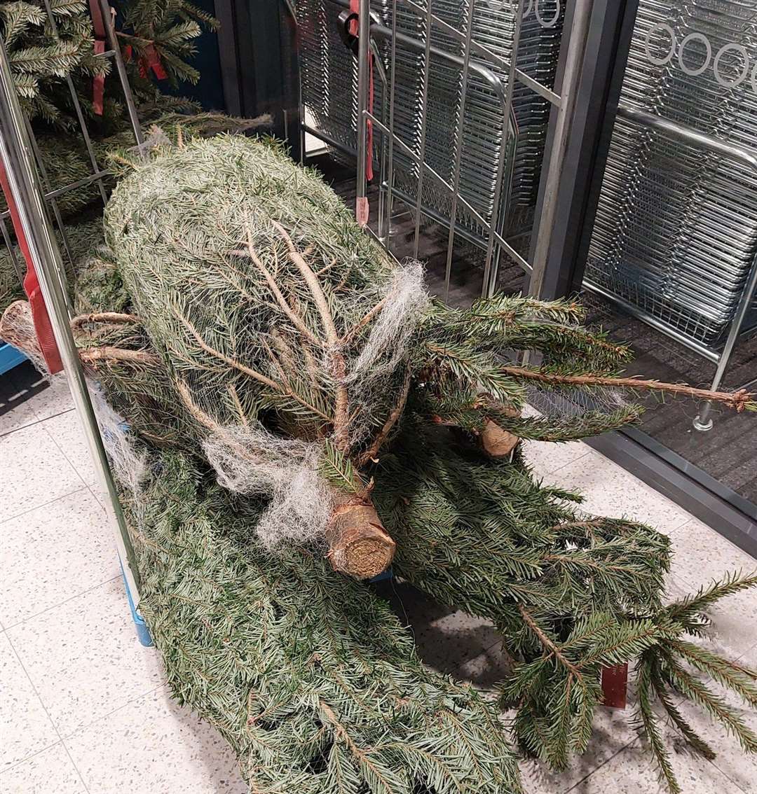 The cage of trees which was alleged to have been stolen and then returned to Home Bargains in Millennium Way, Sheerness. Picture: Kent Police