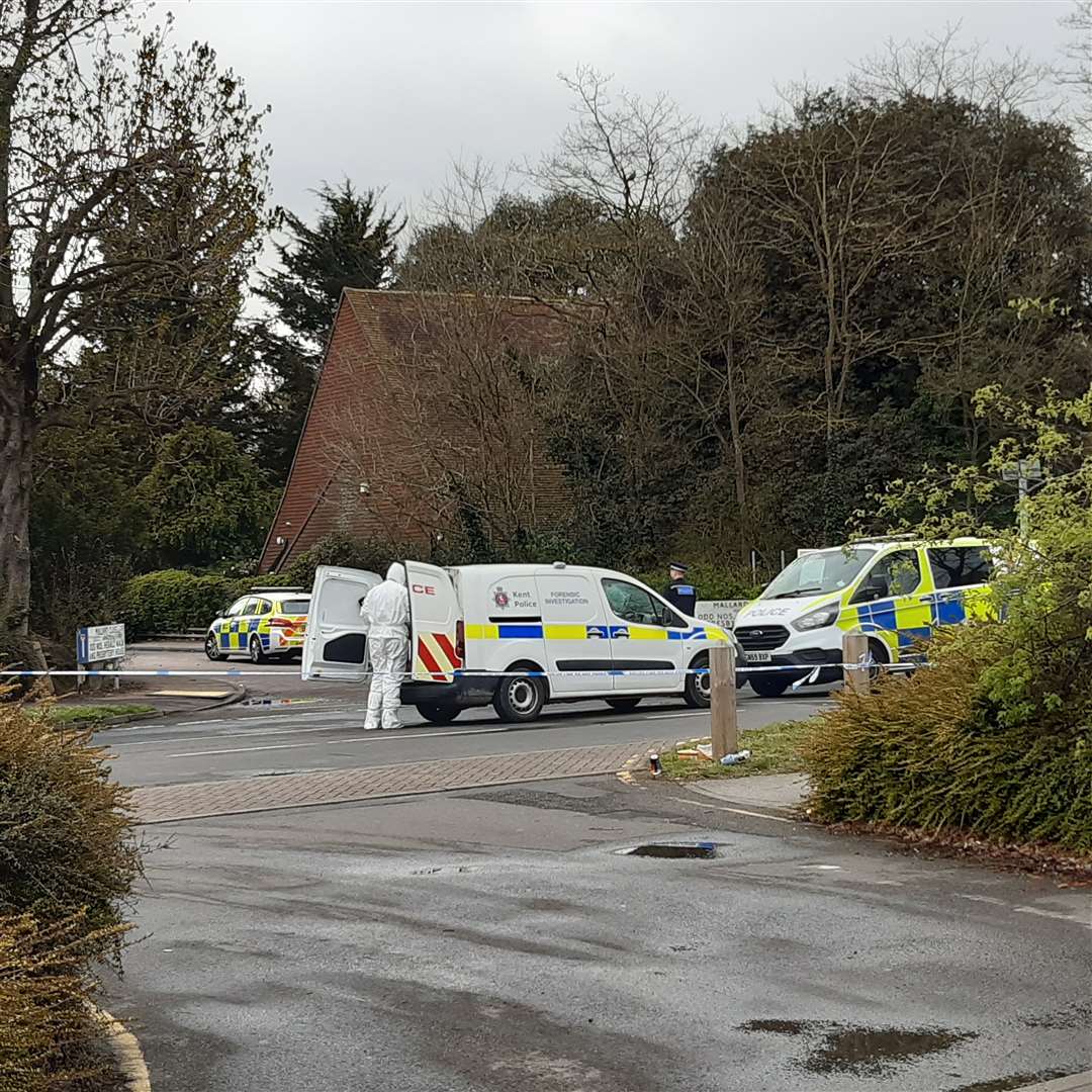 Police in Temple Hill on Monday. Picture: Sean Delaney