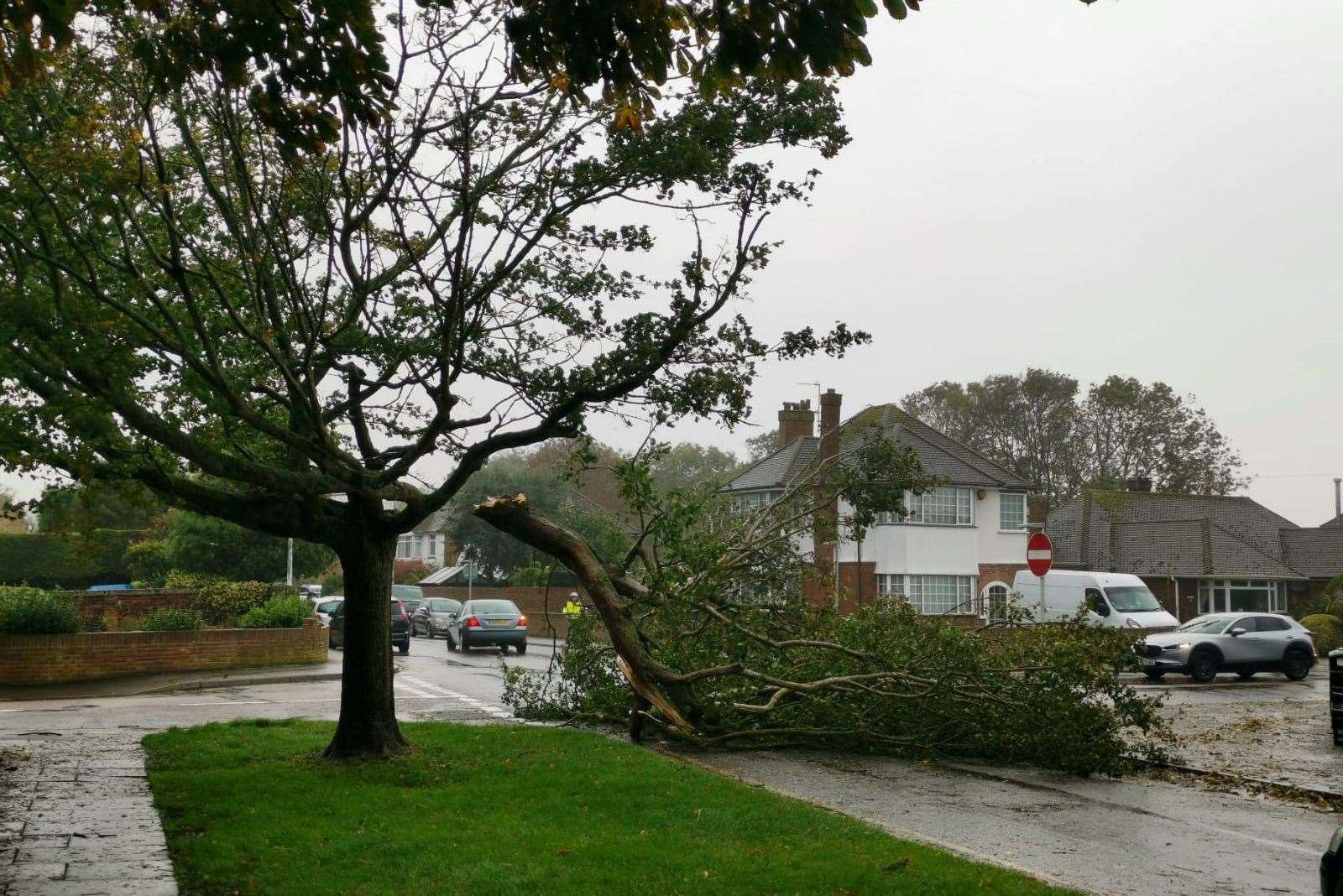 Fallen tree in Vale Road in Broadstairs, near Upton Junior School. Picture: Marijke