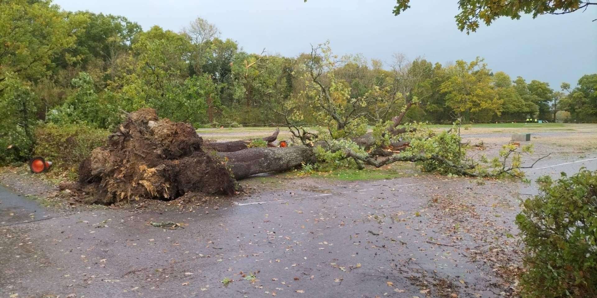 Damage to Marwell Zoo car park in Hampshire (Marwell Zoo/PA)