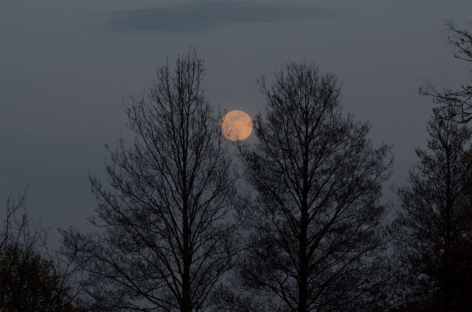 The phenomenon is caused by the moon being closer to earth than normal. Picture: Jason Arthur (33191714)