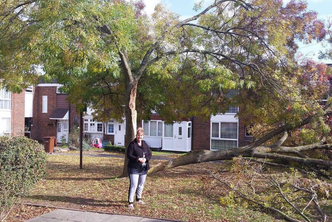 Mrs Kittredge reported the hanging branches to the tree four months ago.