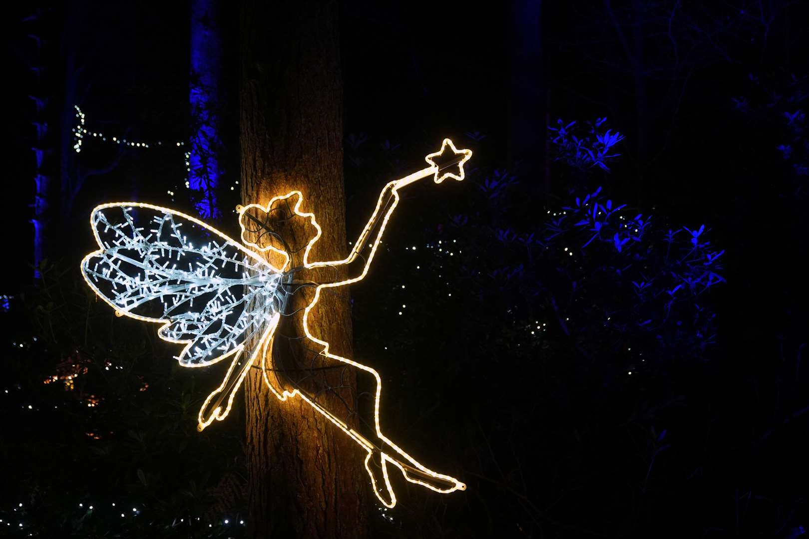 A fairy is illuminated against the trees (Joe Giddens/PA)