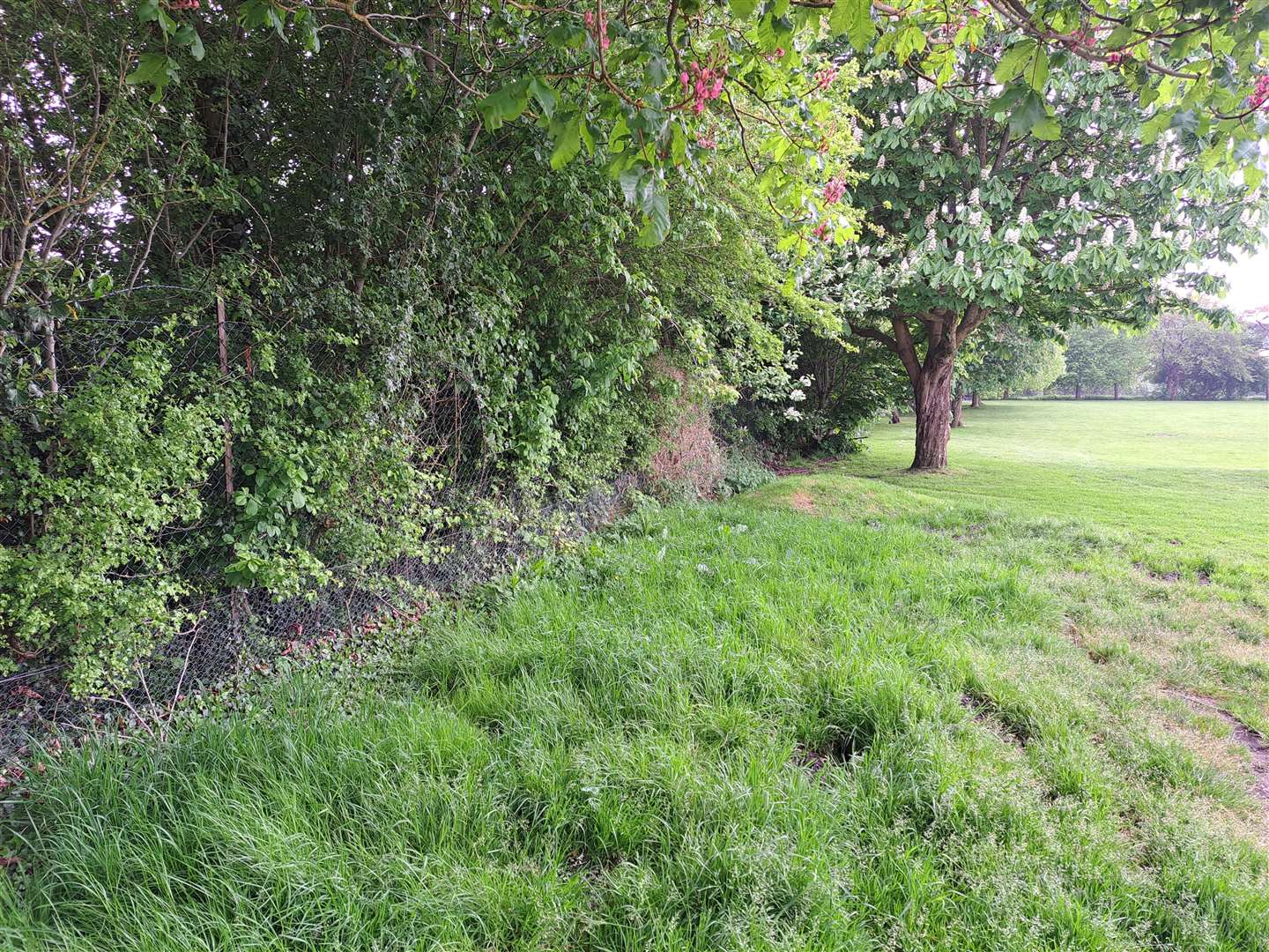 The sliver of land in Wateringbury, close to the boundary on the left, that sold for £1