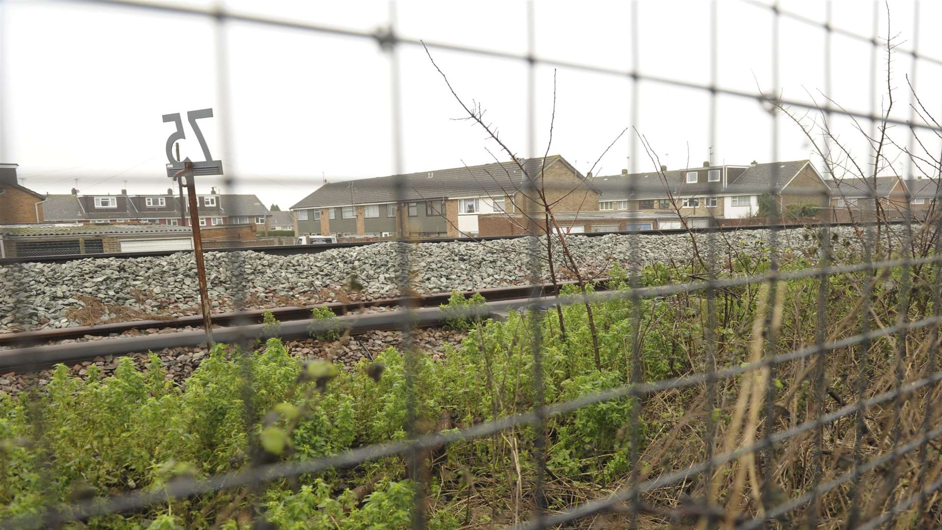 The railway track behind Ann Egan's house in Winchester Way