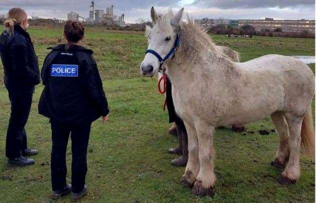 Bess and Freya have been found safe