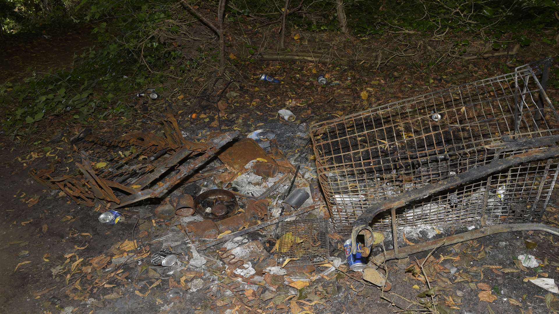 The pond area is strewn with rubbish