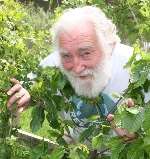 David Bellamy