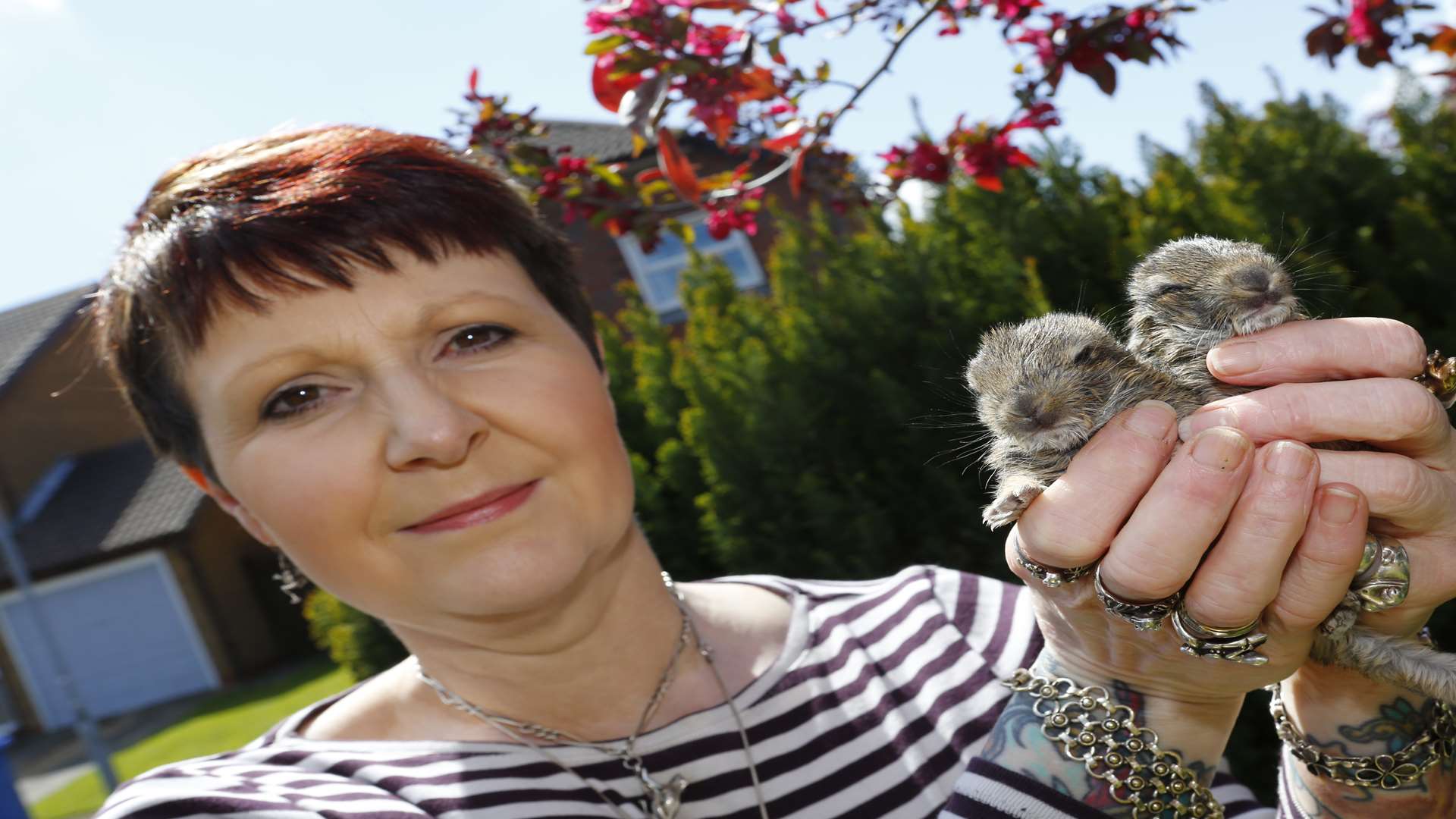 Ingrid Cole with the baby rabbits at Swale Wildlife Rescue