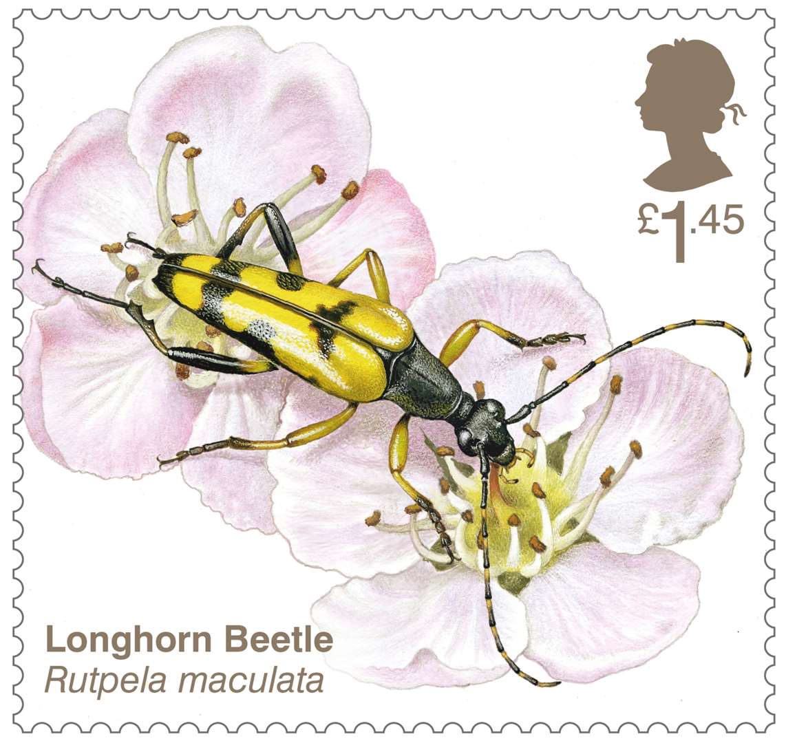 (Royal Mail/PA)