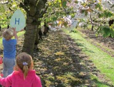 The Easter trail at Brogdale takes you through the orchards.